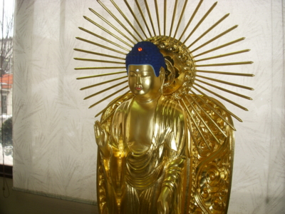 amidanyorai_5