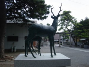 deer_3